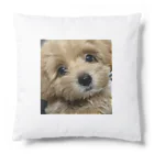 CreativeExplorerの愛犬くん Cushion