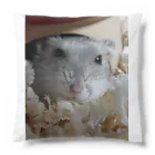 べあちの我が家のハムちゃ Cushion