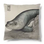 Charliegoneの鰻 Cushion