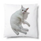 乙にゃ美々の白猫のヴェルちゃん Cushion