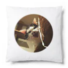 jenjenの強面のねこ　チビゴン　その1 Cushion