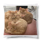 ANAROGUのチャトラ大集合 Cushion