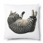 あんなちゅらるのこんなところに猫が落ちてる Cushion