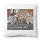 HILLsのうさぎの住む島 Cushion