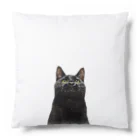 ８９６の黒猫 Cushion