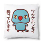 いんこ屋堂のワカケホンセイインコ飼っています（ブルー/メス） Cushion