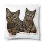 R&B.STUDIO WEBSHOPのキャッッット Cushion