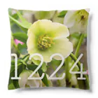 ς ua· Birthday flowerの12月24日 クリスマスローズ Cushion