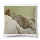 ねこかわたすかるのねこかわたすかる8 Cushion