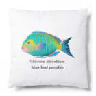 摩訶不思議屋のイラブチャー（ブダイ）魚バージョン Cushion