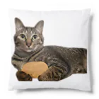 オレはニャン蔵の『猫に小判』オレはニャン蔵 Cushion