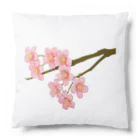 紅藤コミミズクの桜 Cushion