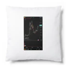 とらまるSHOPのBTC/USD Cushion