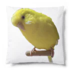 アヒル屋のやんきゅうちゃん Cushion