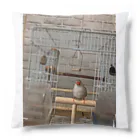 小鳥屋の錦華鳥の華ちゃんグッズ Cushion