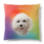 chacoのキングちゃんクッション Cushion