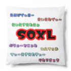 e430のSOXLホルダーによるSOXLホルダーのためのSOXLアイテム Cushion