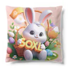 Bunny RingのSOXL Spring Cushion