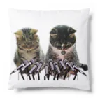 ニゴ猫　shopの記者会見 Cushion