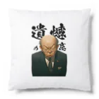 Kazuya Satoの遺憾の意 Cushion