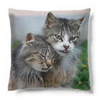 ニゴ猫　shopの愛だろう愛 Cushion