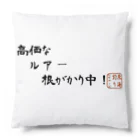 東海釣りビギナーズショップの高価なルアー根がかり中！ Cushion