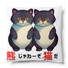 キャスちゃんねるYouTubeショップの熊じゃねーぞ猫だ！ Cushion