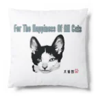 kossat-shopの保護猫源ちゃんデビュー！ Cushion