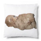 ちょっと変なアラサーの限界犬 Cushion