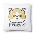 オガワユミエの33エキゾチックショートヘア（キャラ） Cushion