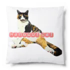 HANGOUTのみけ猫 Cushion