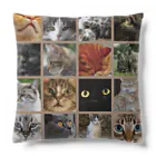 funny-boneの猫にゃ パッチワーク風 cat patchwork Cushion