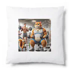 亀蘭タマムシの顔つきが変わった、運動猫 Cushion