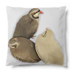 でぶんちょう🦆のぐるぐるイワシャコ(グレー) Cushion