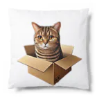 猫の小梅お嬢さんの小梅ちゃん　箱猫 Cushion