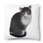 D・K　Design.saitama　ディーケーデザインさいたまのなあや Cushion