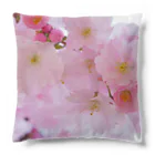 orange_honeyの桜13 Cushion