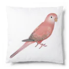 まめるりはことりのアキクサインコ　ピンク【まめるりはことり】 Cushion