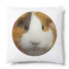 モルモットのミマモル隊のマルちゃん Cushion