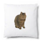 猫のナスキーのグッズたちの猫のナスキー極秘グッズ Cushion