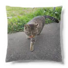 ながしっぽ from.さくらねこの家のとらちゃん　type.D Cushion