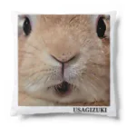 j8ie de vivre♪のUSAGIZUKI うさぎのアップ Cushion