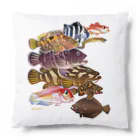 MUSEUM LAB SHOP MITのソコモノ図鑑 Cushion