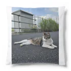 ながしっぽ from.さくらねこの家のながしっぽ　type．Ｉ Cushion