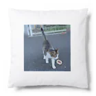 ながしっぽ from.さくらねこの家のながしっぽ　type.Ｊ Cushion