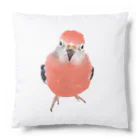 アキクサインコとウロコインコのアキクサインコ Cushion