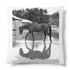 北のうまやの雨上がりの馬　引退競走馬インディ Cushion