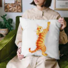 Lucid Color goodsのさらなる高みへ Cushion