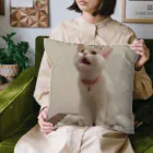 ステラ屋さんの正方形Princessステラさん Cushion