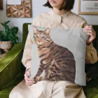 はるさめ商店のキジトラ Cushion